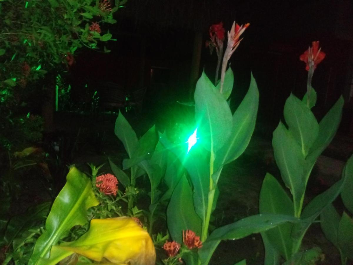 Pousada Luar De Monte Cristo Araripe de Baixo Kültér fotó